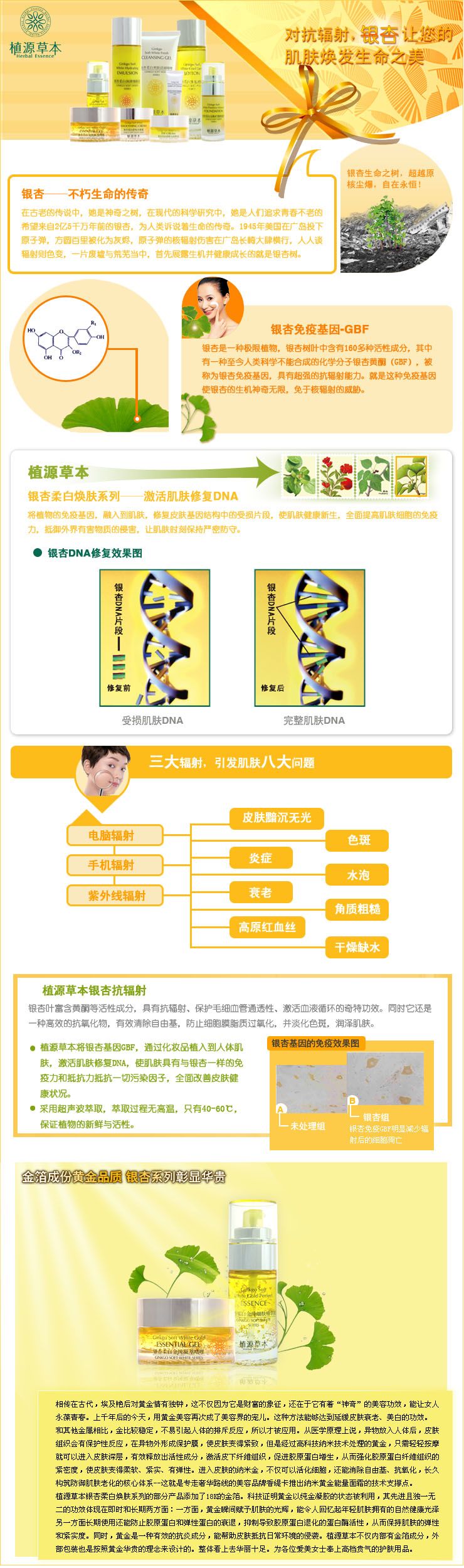 化妆品描述页面PSD模板